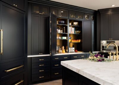 Butterfly-kitchen-cabinets-chicago-florida-renovation-remodel-black